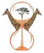 Two giraffes are in an hourglass with a tree in the middle