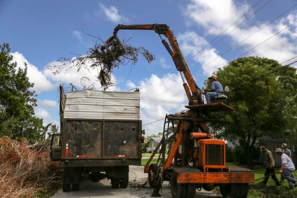 A crane is loading branches into a dump truck.