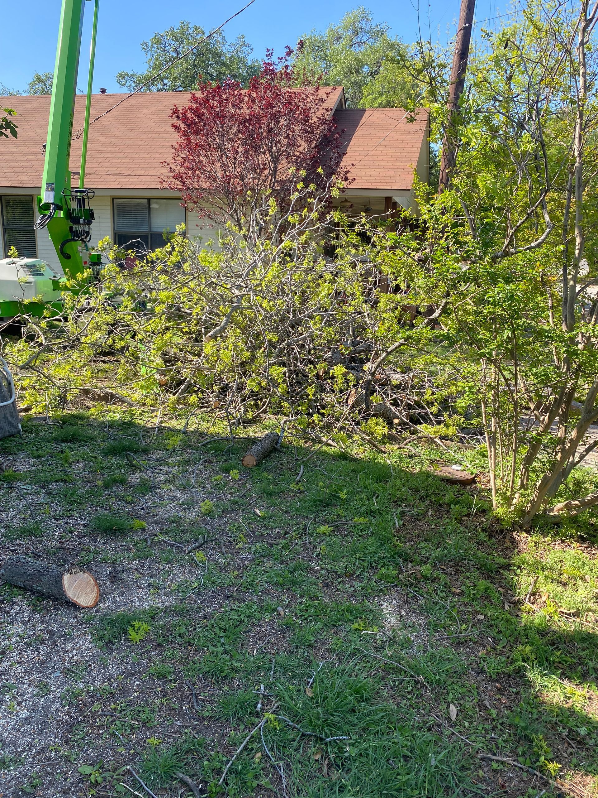 A pile of logs laying on the grass in front of a building.
