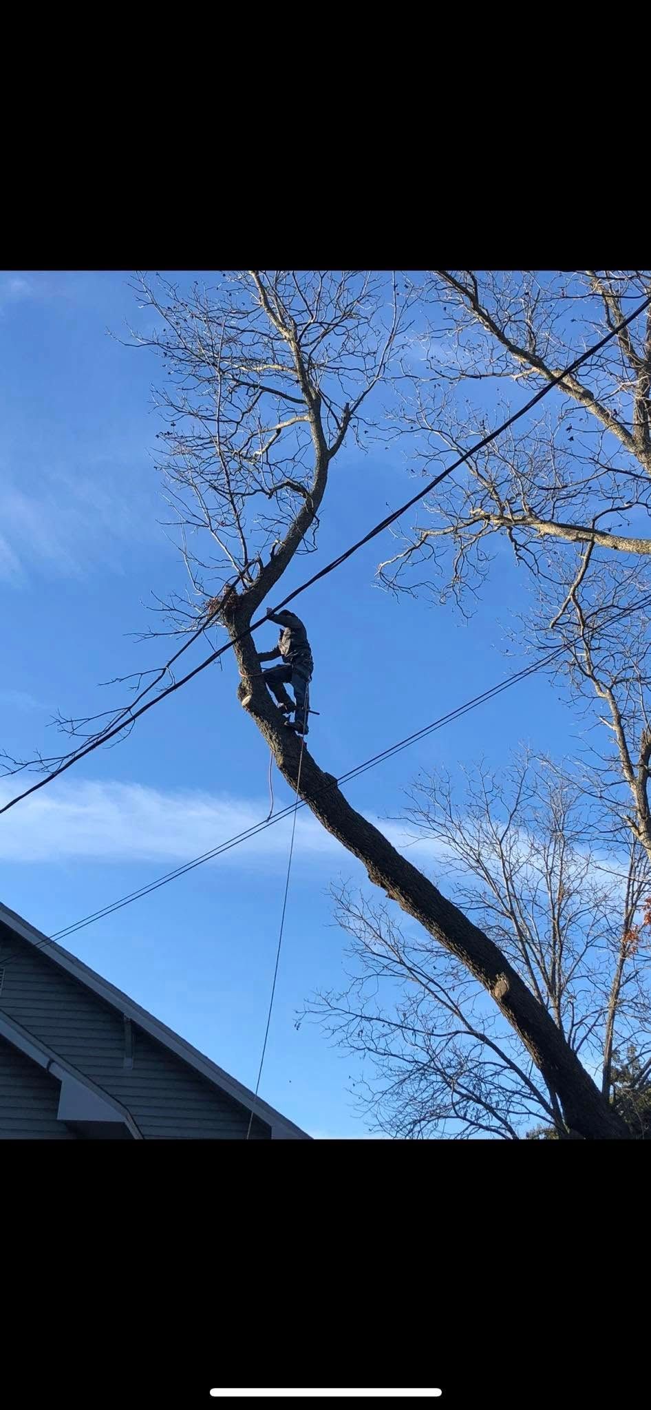 A chainsaw is sitting on top of a tree stump.
