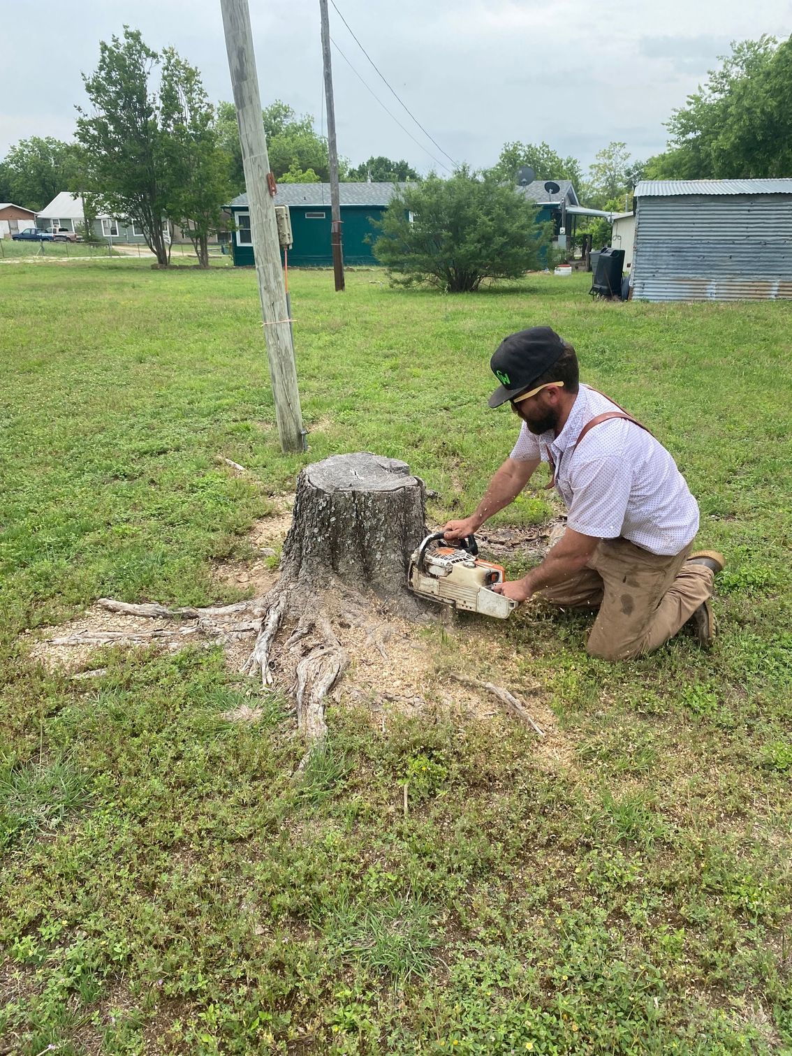 A tree stump is being cut down by a machine.