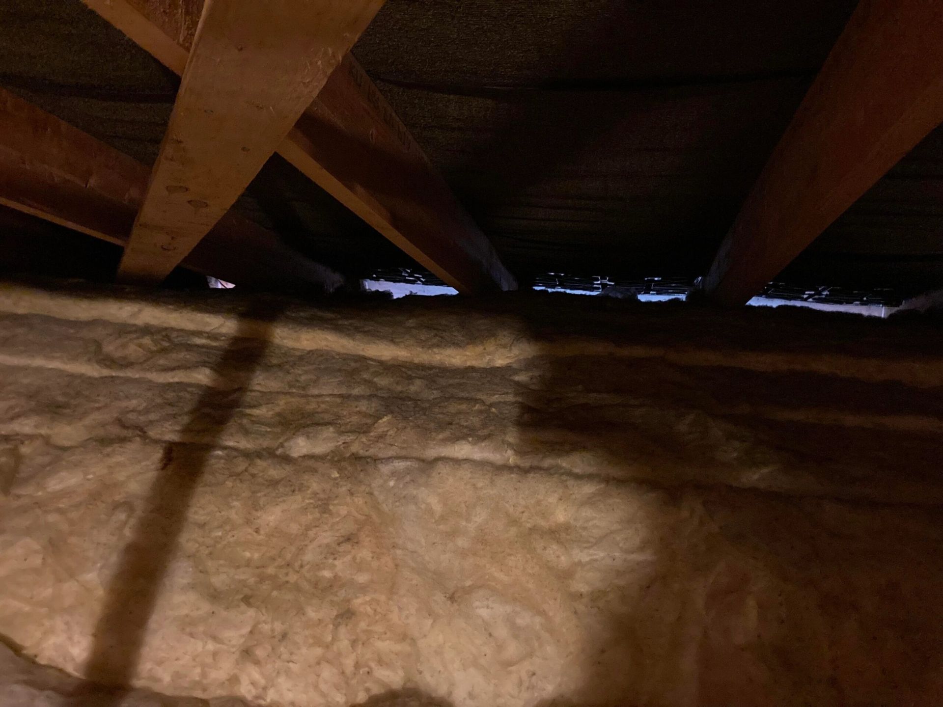 Looking up at the ceiling of an attic with wooden beams and insulation.