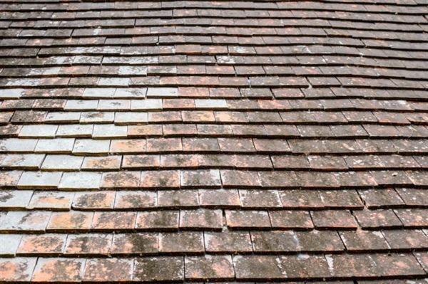 A close up of a roof with a lot of tiles on it.