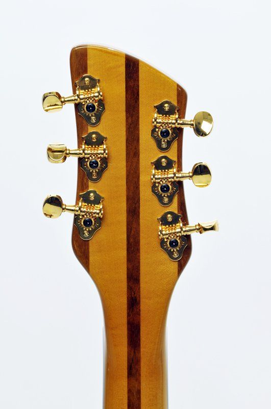 A close up of the headstock of a guitar