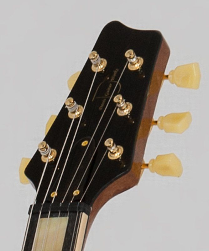 A close up of the headstock of an electric guitar