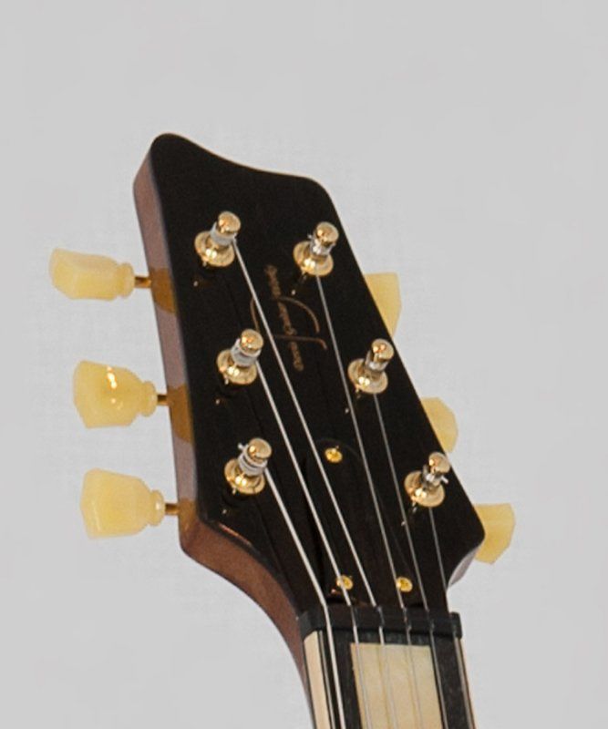 A close up of the headstock of an electric guitar