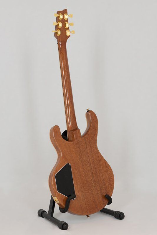 A guitar is sitting on a stand on a white background