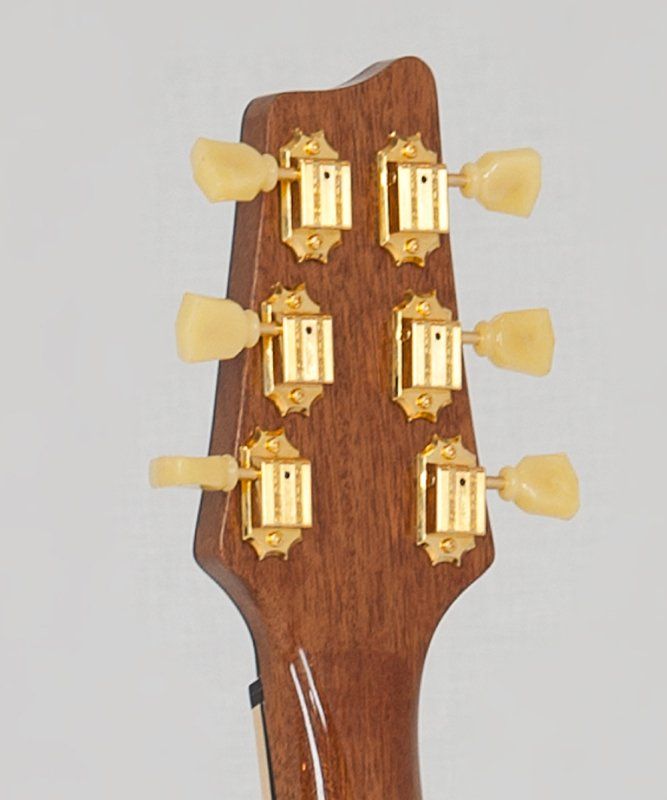 A close up of the headstock of an electric guitar