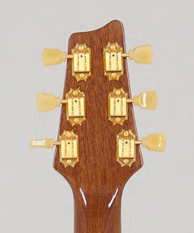 A close up of the headstock of an electric guitar
