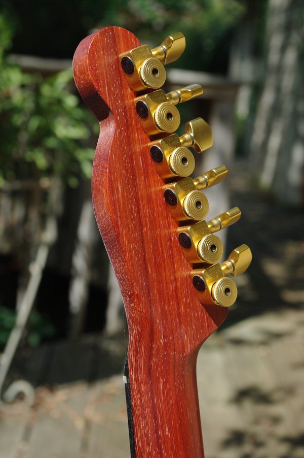 A close up of a guitar headstock with gold knobs