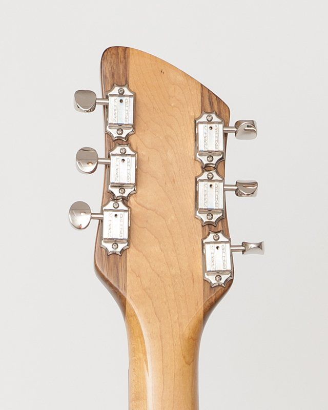 A close up of the headstock of an electric guitar