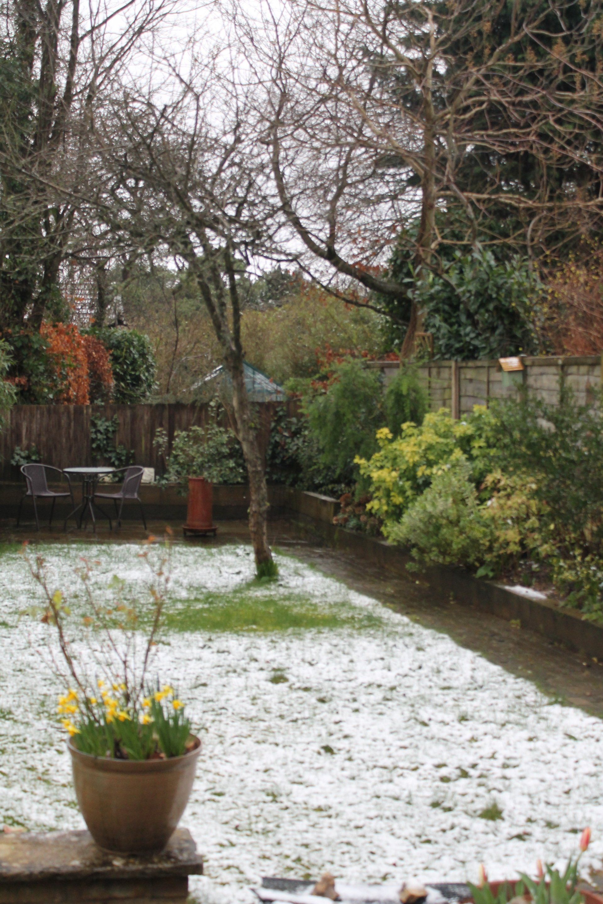 March is here and Spring is on its way - apparently!