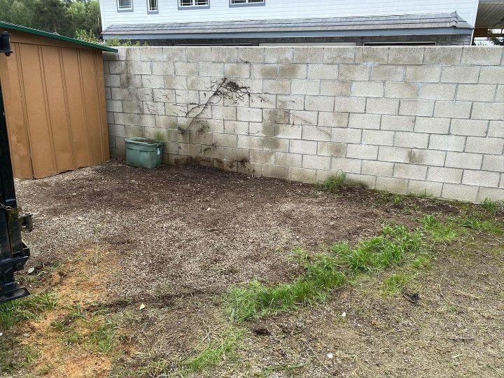 A backyard with a brick wall and a wooden shed.