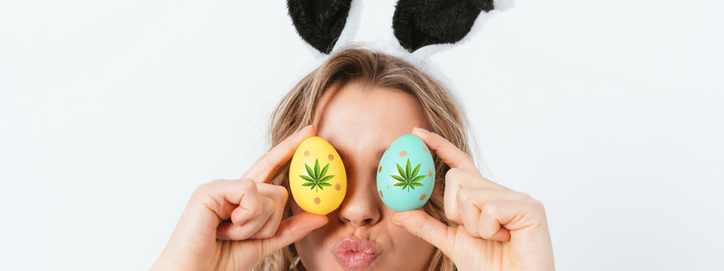 Blazing Bunny: Hosting a Cannabis-Themed Easter Egg Hunt