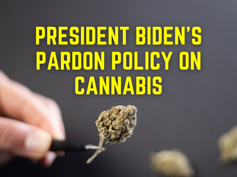 President Biden's Pardon Policy on Cannabis Star Buds MO Dispensary
