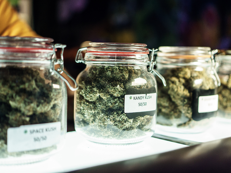 The Top Five Questions to Ask Your Budtender Cannabis