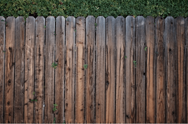 Old wooden fence with vegetation peaking through and trees and leaves behind it