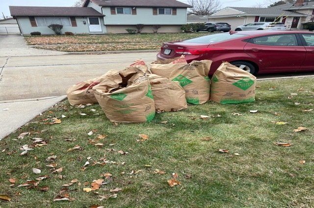 bags of lawn waste in grass with red car in the street