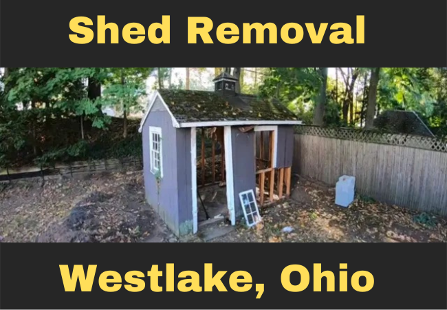 blue shed in a backyard that is missing its door, window, and bottom side wall paneling caption reads shed removal westlake, ohio