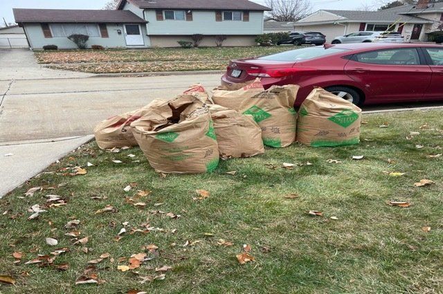 bags of yard waste on tree lawn next to a red car across from blue house
