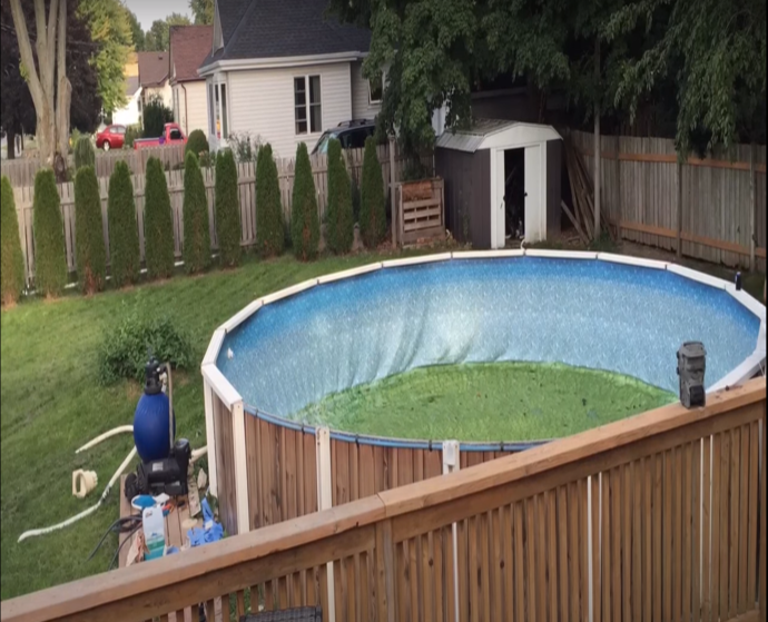 View from the deck looking down into an aboveground pool that has a blue vinyl liner and a green algae filled floor. Green grassy backyard with trees and a small shed that has a white roof and door are also visible