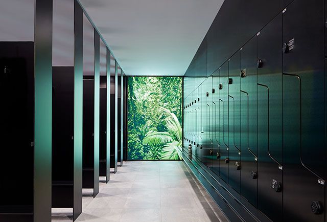 A row of black lockers in a locker room with a window. — Viison Kitchens & Joinery Forster In Wingham, NSW