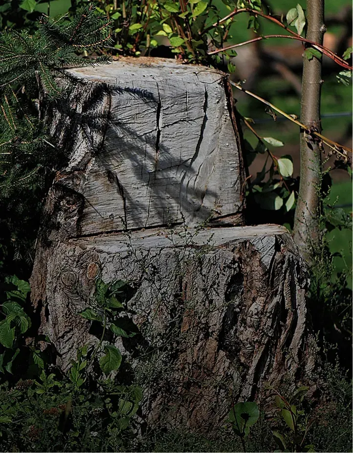 excavation slider image