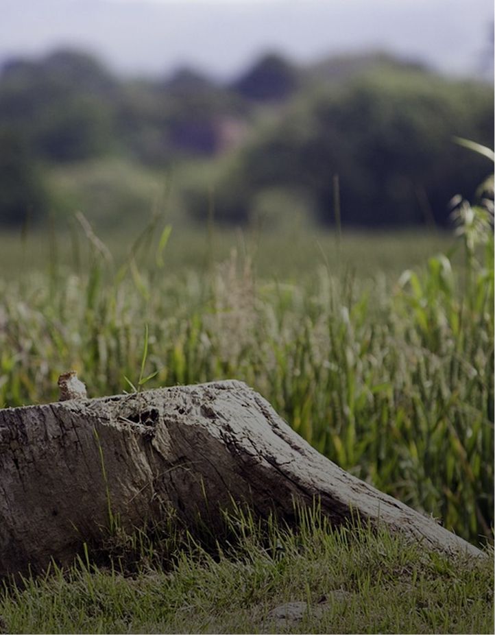 dirt hauling slider image