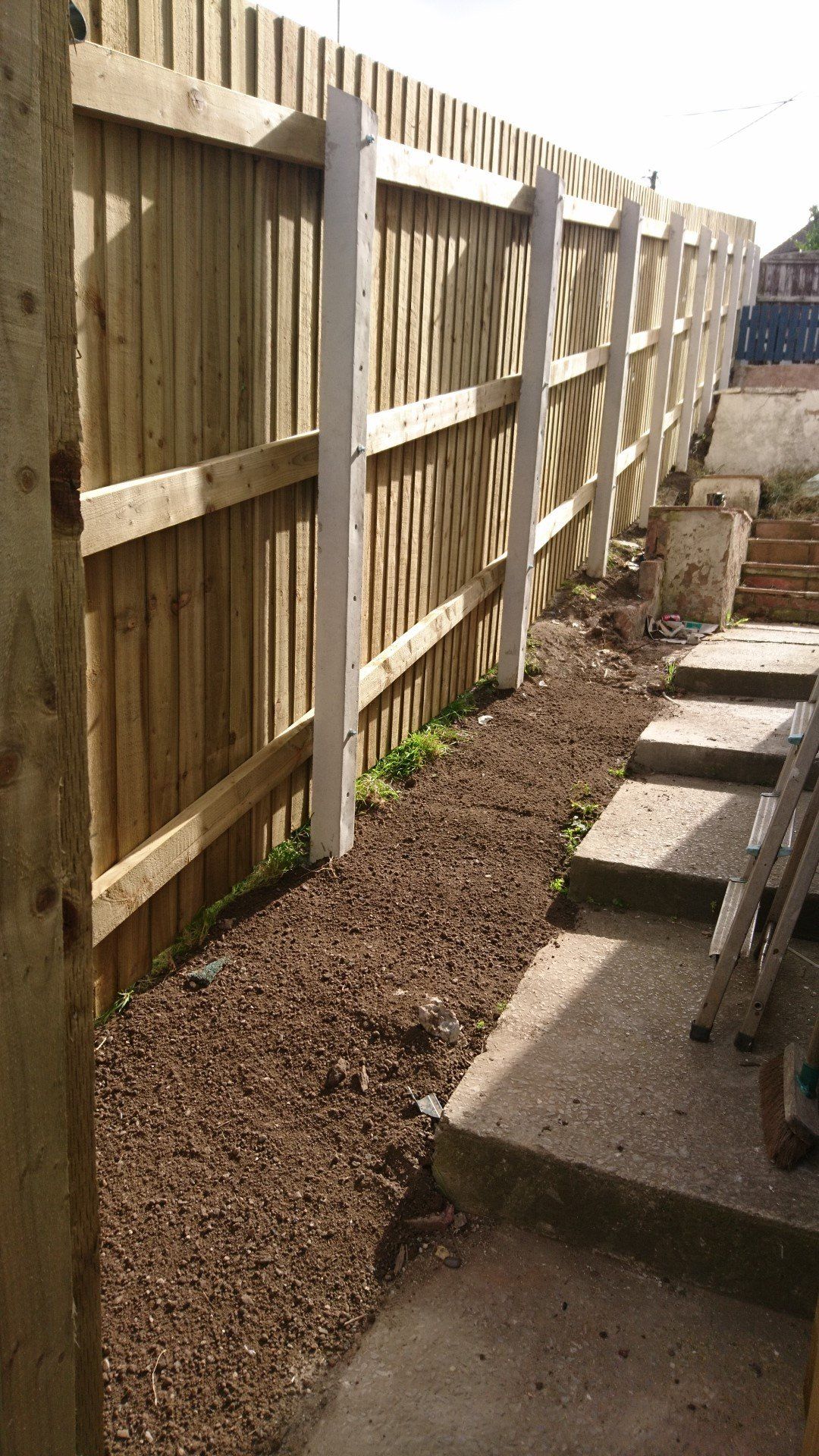 Transform your garden