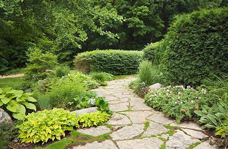 Our landscaping services