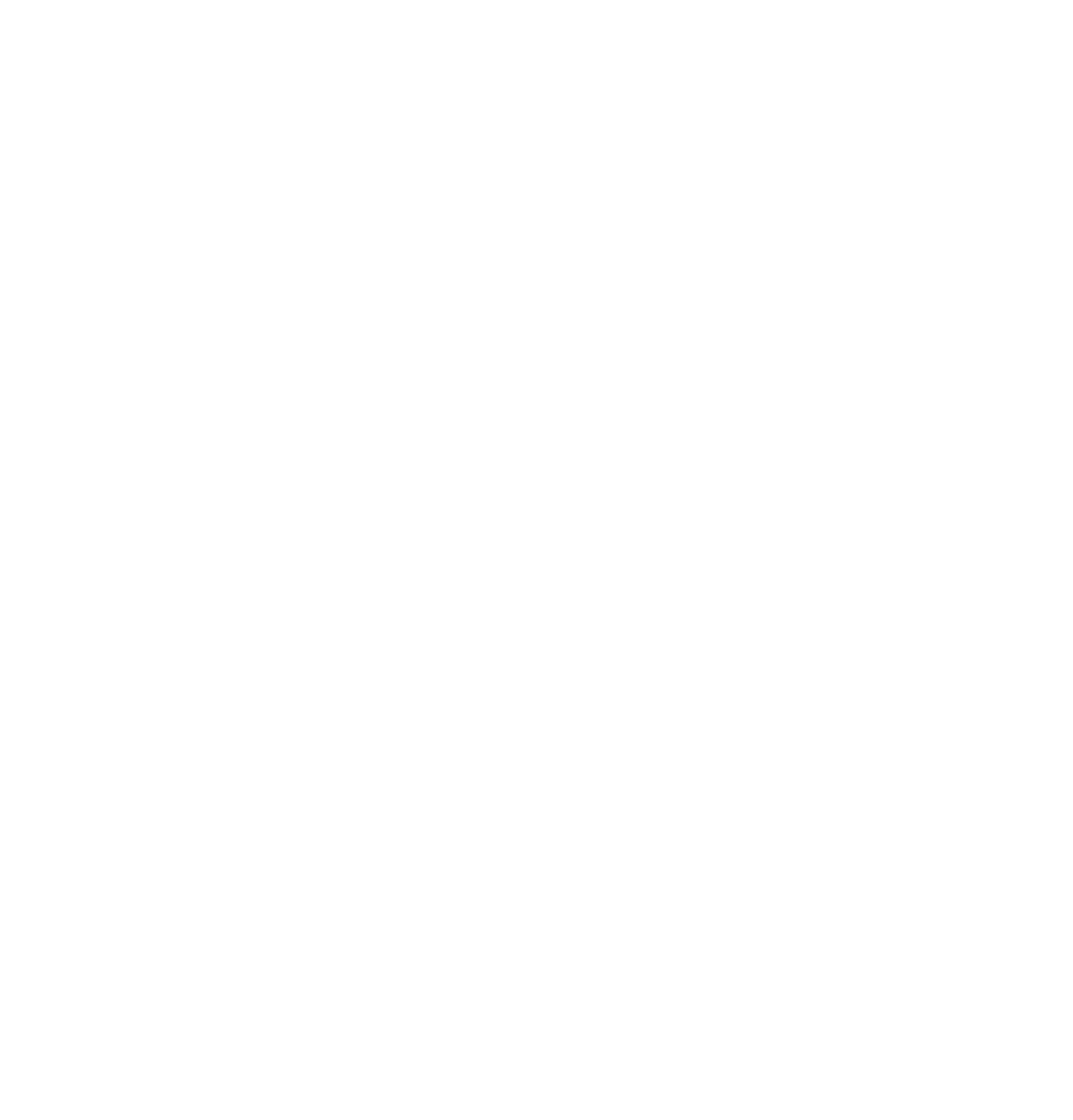 Perimeter 294 Logo - Footer