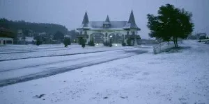Cena nevada com um portão arqueado decorativo, estrada coberta de neve e árvores. Céu nublado.