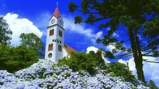 Igreja branca com telhado vermelho e torre do relógio contra um céu azul brilhante, rodeada por árvores e flores azuis.