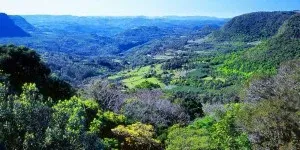 Uma vista panorâmica de um vasto vale verdejante rodeado por colinas exuberantes e cobertas de árvores, sob um céu azul.