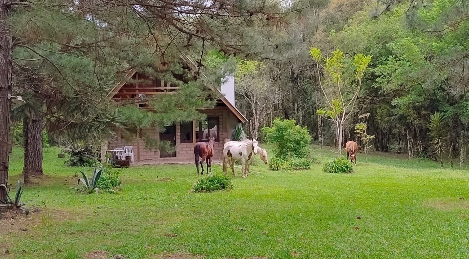 Colagem: Cabanas em uma paisagem verdejante, flores e placa "Cabanas da Serra" com texto.