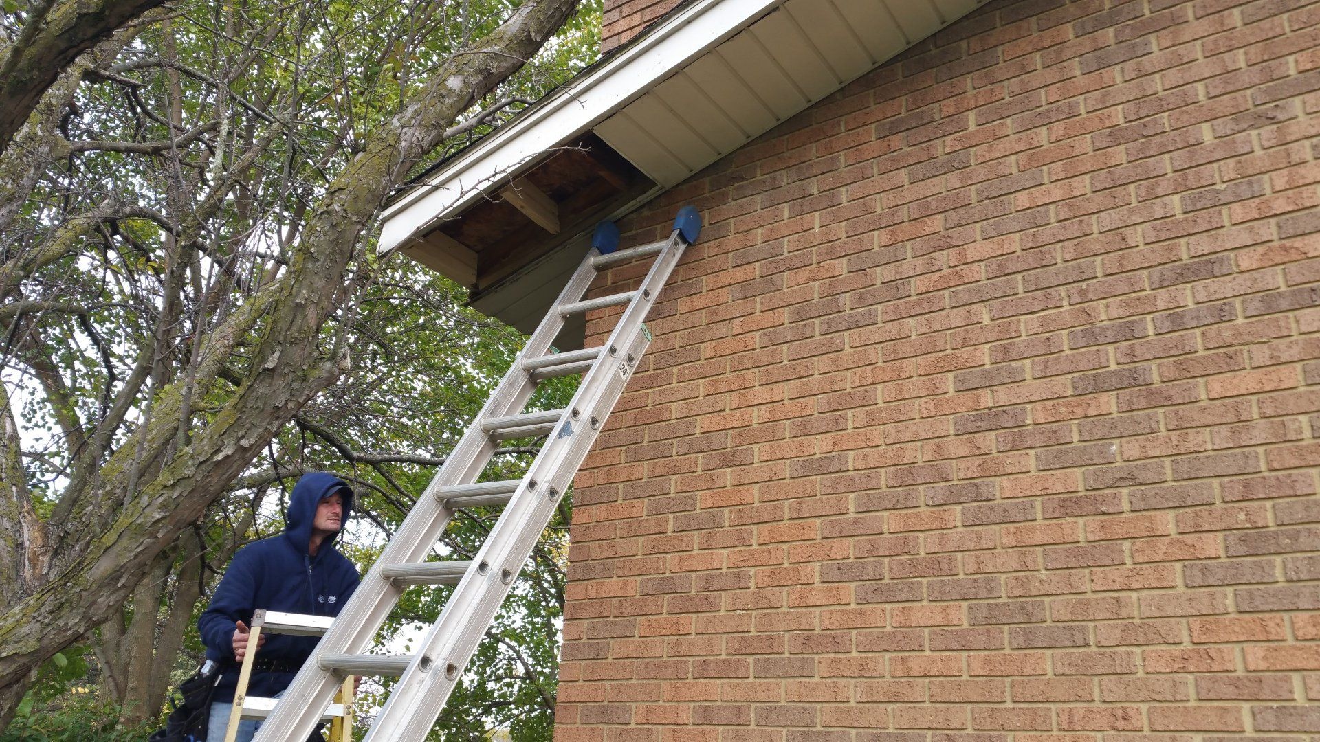 Home repair in Allen Park Michigan