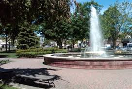 We service Plymouth Michigan