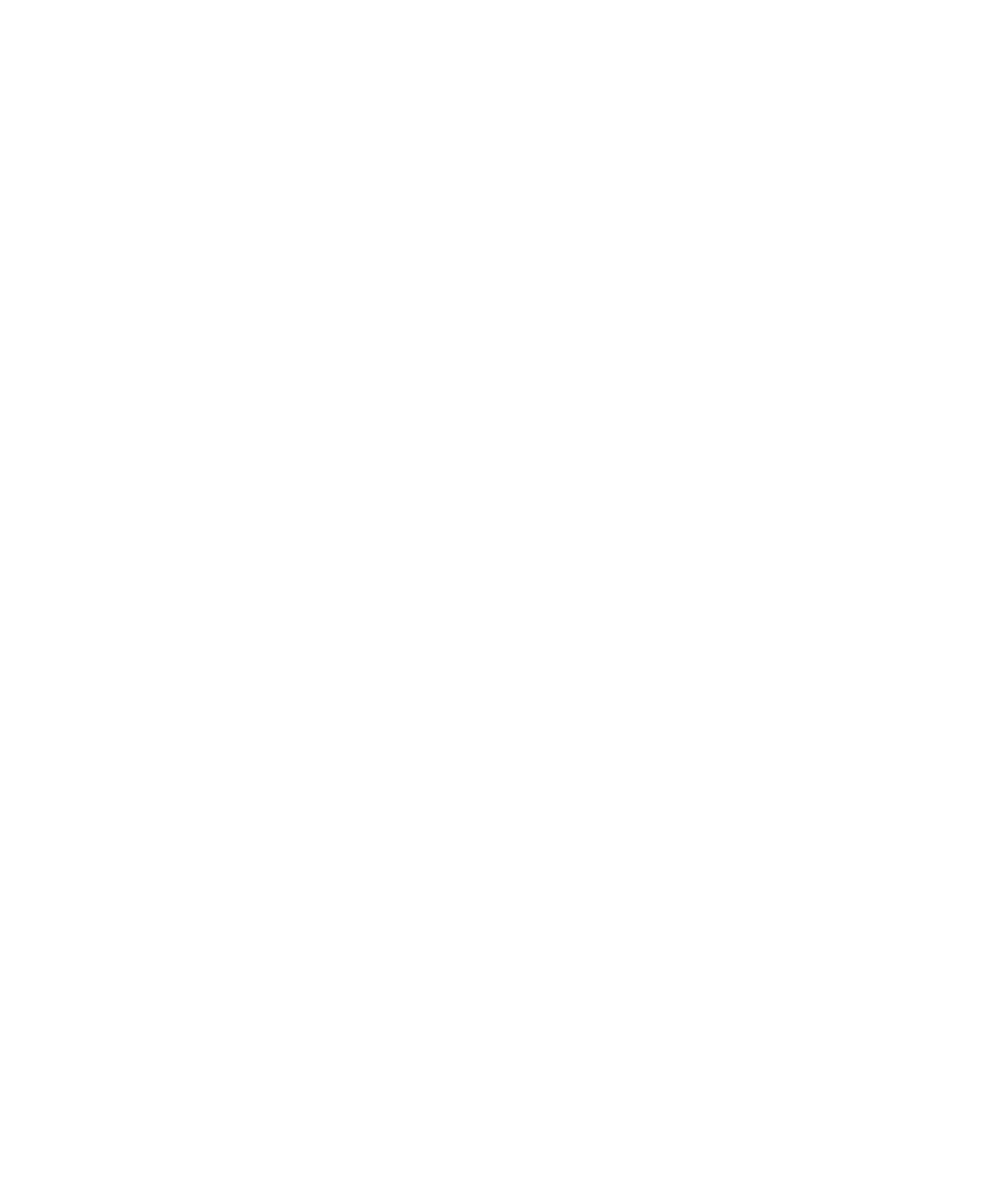 Nikola Soldo