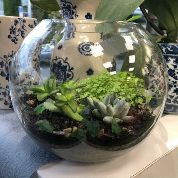 a glass bowl filled with plants and a blue and white vase in the background