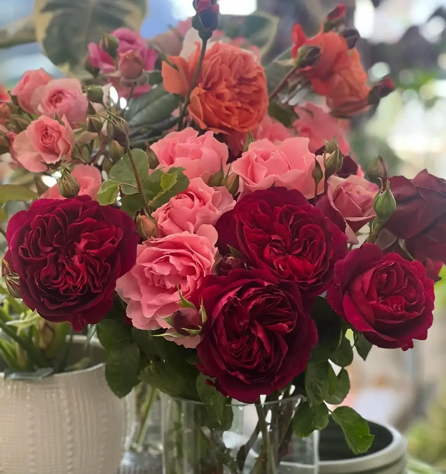 Vase of colorful roses in shades of red, pink, and orange.