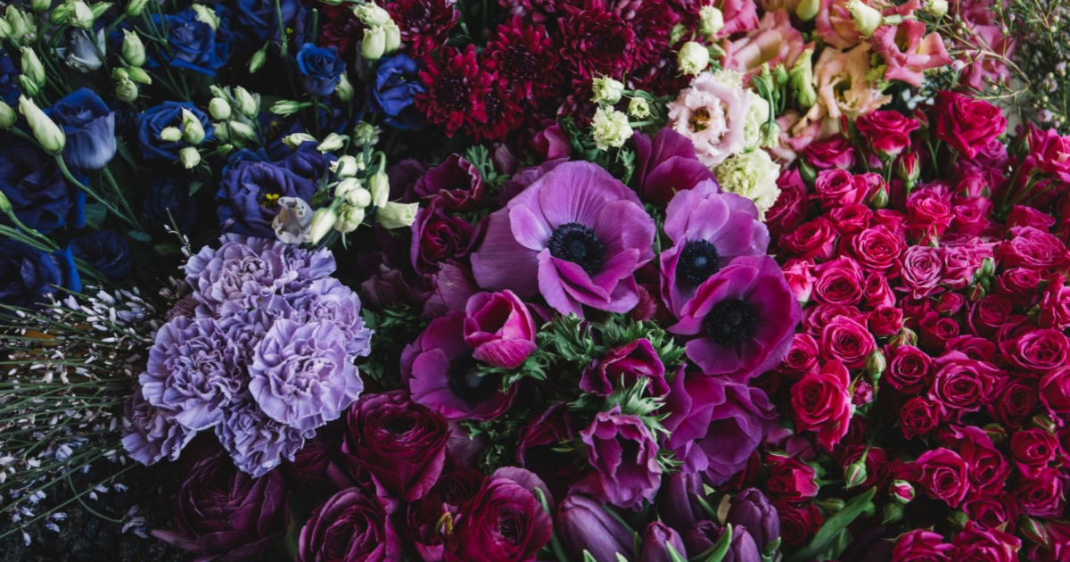 Beautiful Flowers Christchurch Court Florist