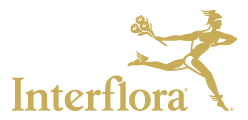 the logo for interflora shows a woman holding a bouquet of flowers .
