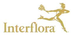 the logo for interflora shows a woman holding a bouquet of flowers .