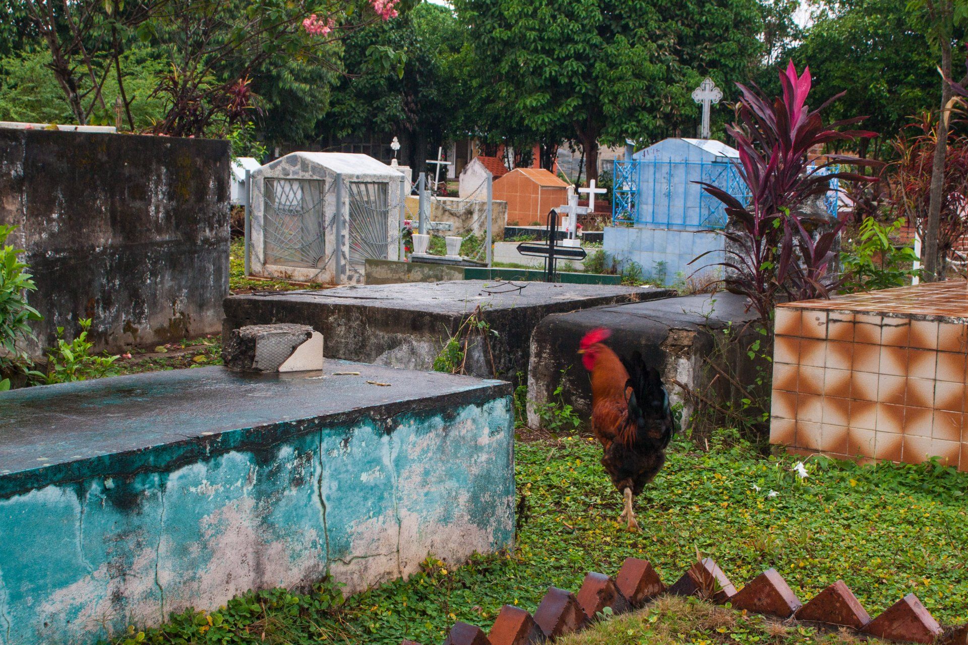 Villanueva cemetery, Casanare 2009.