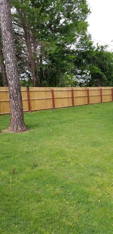 Green grass yard with a brown wooden fence, and a tree trunk to the left