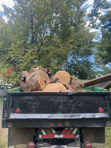 Truck bed filled with cut logs, trees in background, sunny day