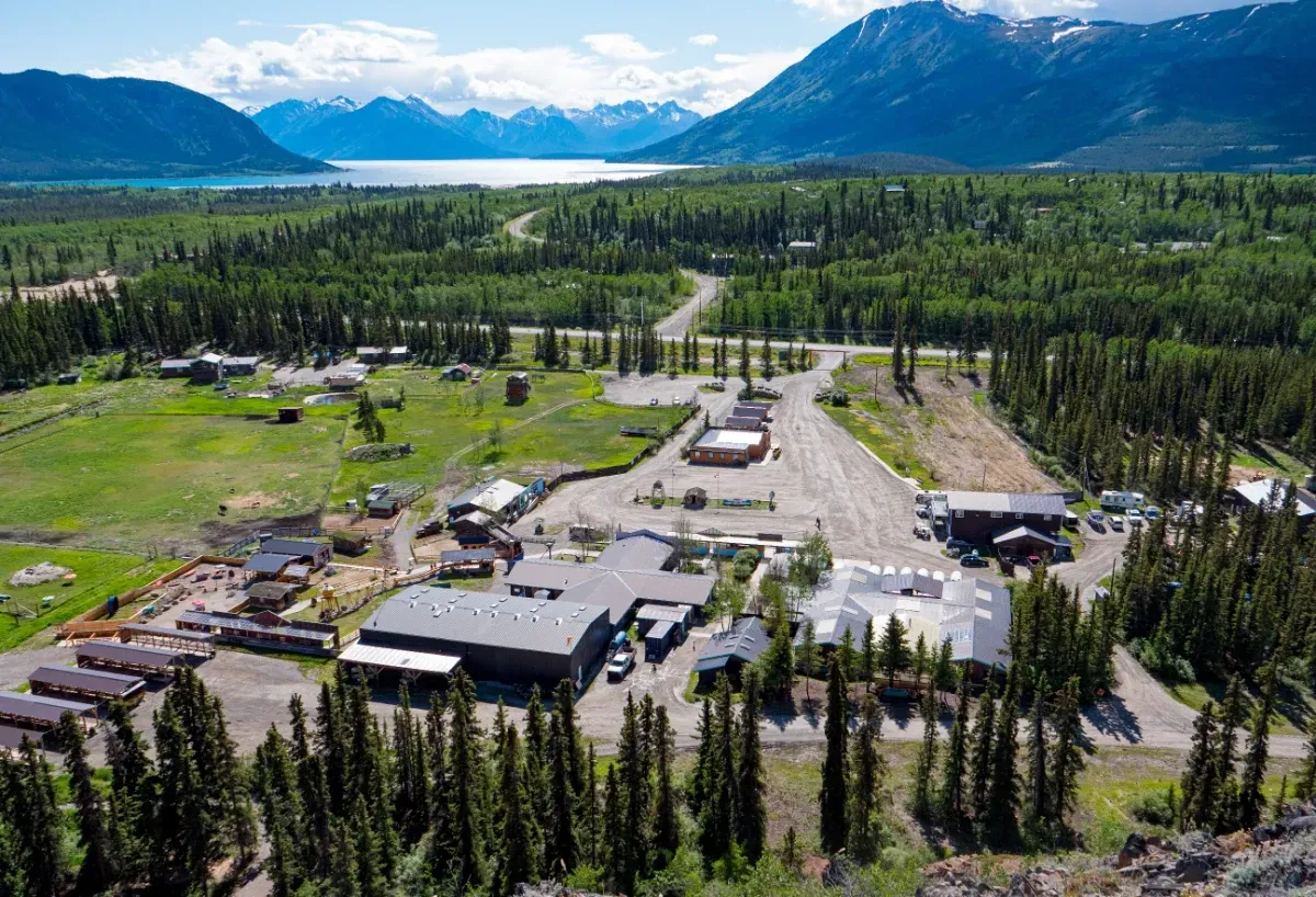 Scenic Landscape: “Stunning Yukon wilderness with expansive mountains, lush forests, and clear skies, showcasing the natural beauty of Wild Adventure Yukon.”