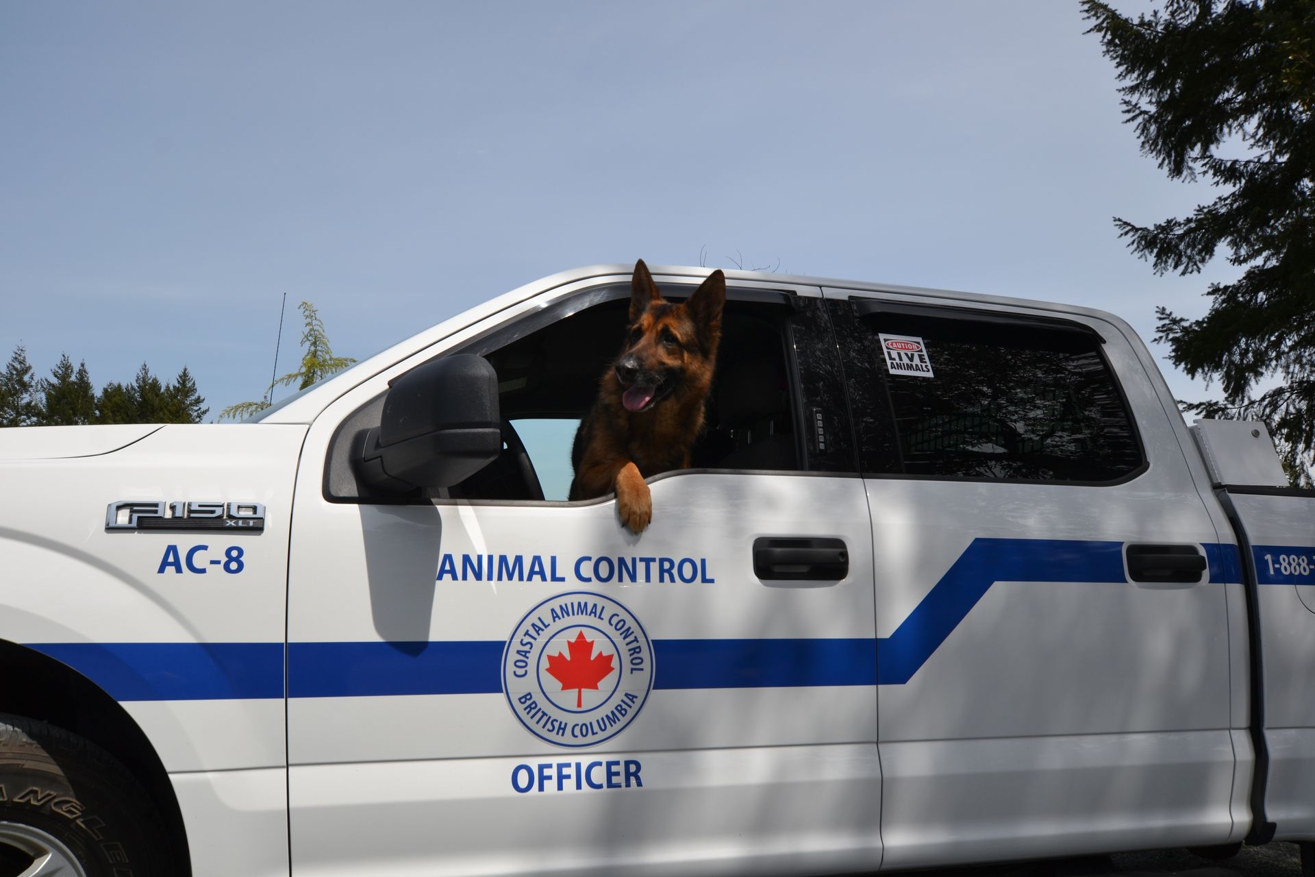 Yoga Class in Progress: “Group of people participating in a serene yoga class, guided by an instructor in a calm, sunlit studio, promoting physical and mental wellness.”
Therapy Session: “Therapist and client engaging in a one-on-one counseling session in a comfortable, private setting, focused on mental health support and personal growth.”
Fitness Center with Modern Equipment: “Bright and spacious fitness center equipped with modern machines and free weights, supporting a healthy and active lifestyle.”
Massage Therapy Room: “Relaxing massage therapy room with a cushioned table, soft lighting, and tranquil decor, offering a calming space for wellness treatments.”
Meditation Group Outdoors: “People practicing meditation in a peaceful outdoor setting, surrounded by nature, fostering mindfulness and inner balance.”
Nutrition Consultation: “Nutritionist discussing a meal plan with a client, focusing on balanced eating and personalized wellness goals in a supportive setting.”
Spa Wellness Area: “Luxurious spa area with comfortable seating, ambient lighting, and aromatherapy, designed for relaxation and rejuvenation.”
Wellness Workshop Attendees: “Participants attending a wellness workshop, engaging in interactive discussions on mental health and self-care strategies.”
Health Coaching Session: “Health coach guiding a client through a personalized wellness plan, offering motivation and practical tips for a healthier lifestyle.”
Acupuncture Treatment: “Acupuncturist providing a calming acupuncture session, focusing on holistic health and natural healing in a peaceful environment.”