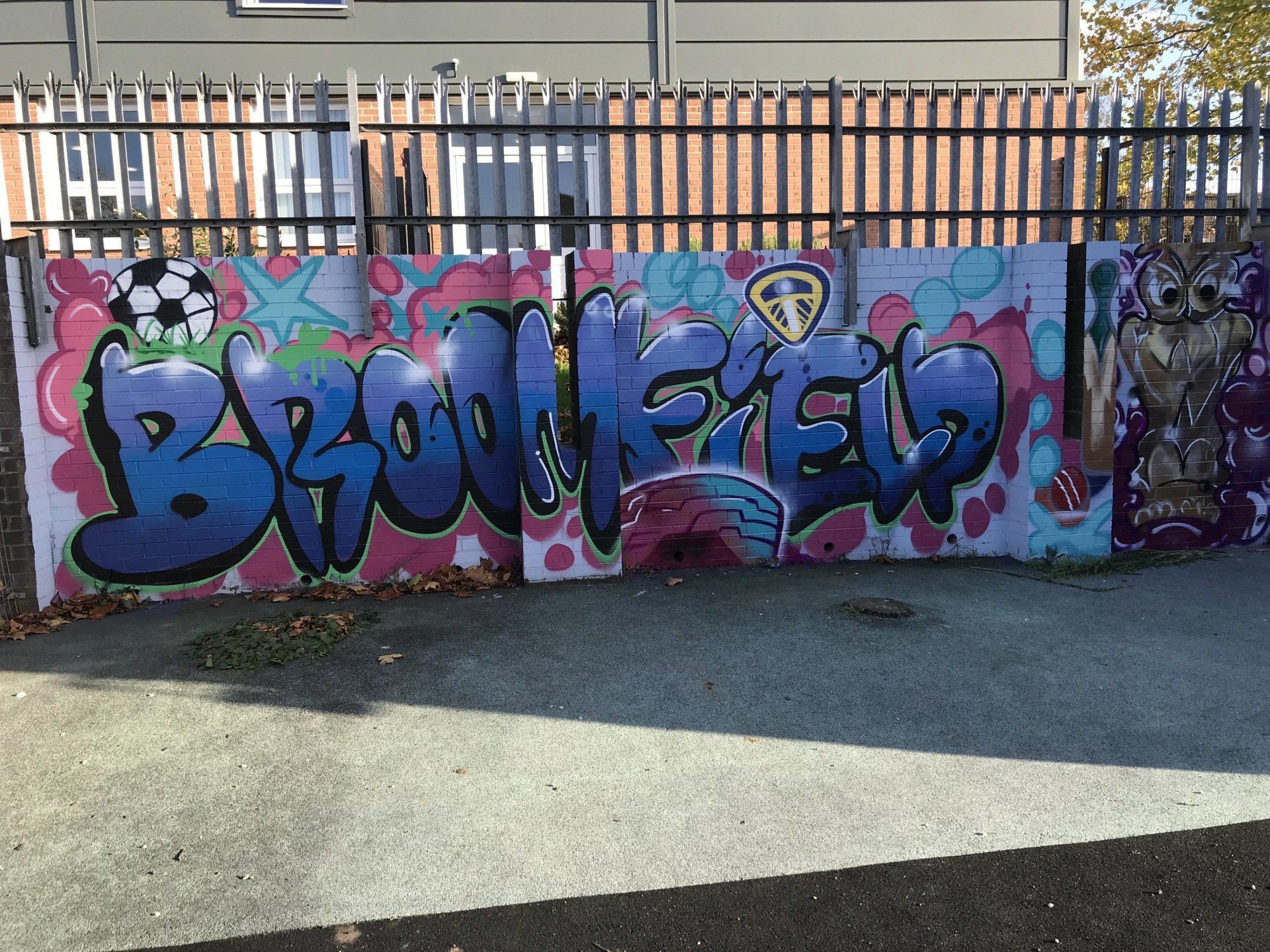 Broomfield School Graffiti