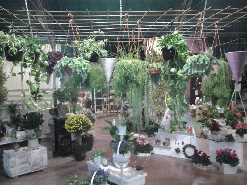 vendita piante e fiori